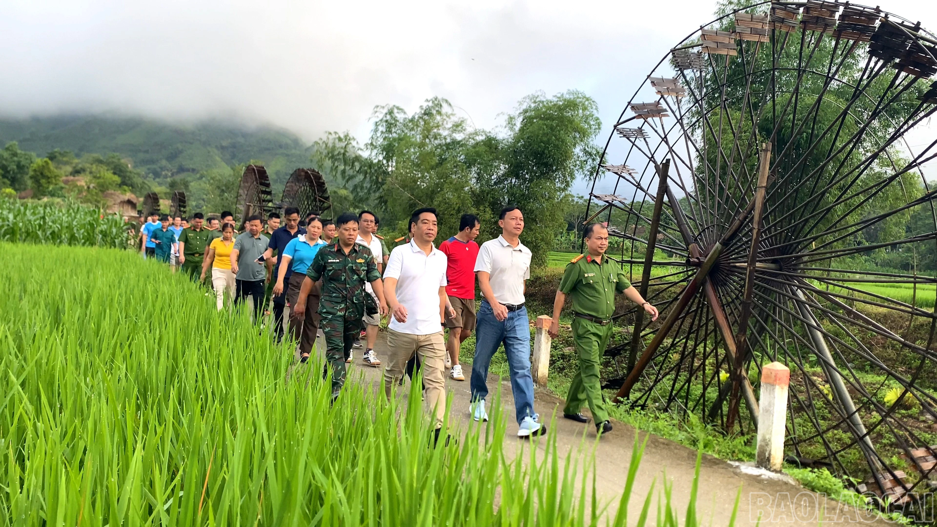 baolaocai-br_ngay-sau-hieu-lenh-phat-dong-hon-300-nguoi-tham-gia-da-dong-loat-xuat-phat-thuc-hien-lo-trinh-di-bo-voi-cu-ly-2-km-1.jpg