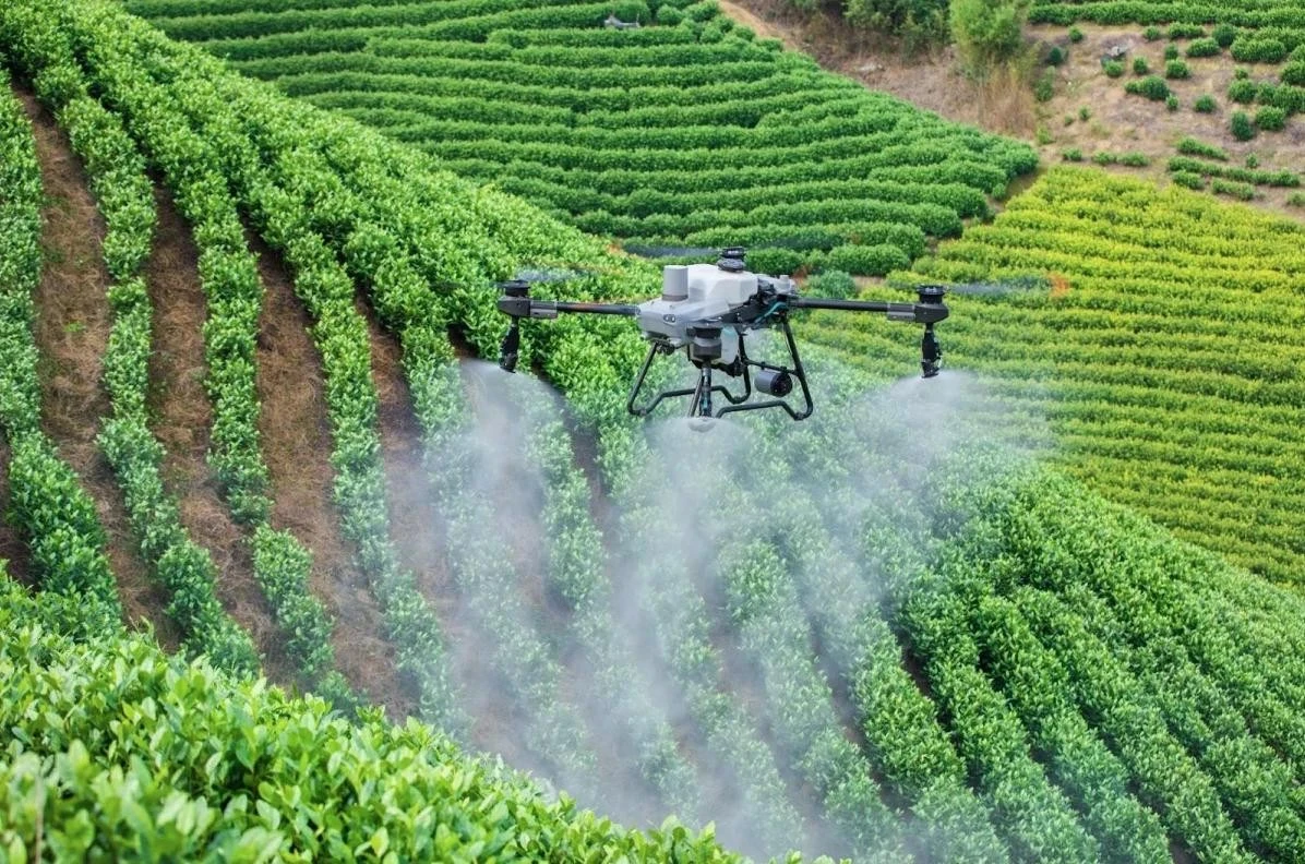 Một mẫu drone phun thuốc trên cánh đồng.