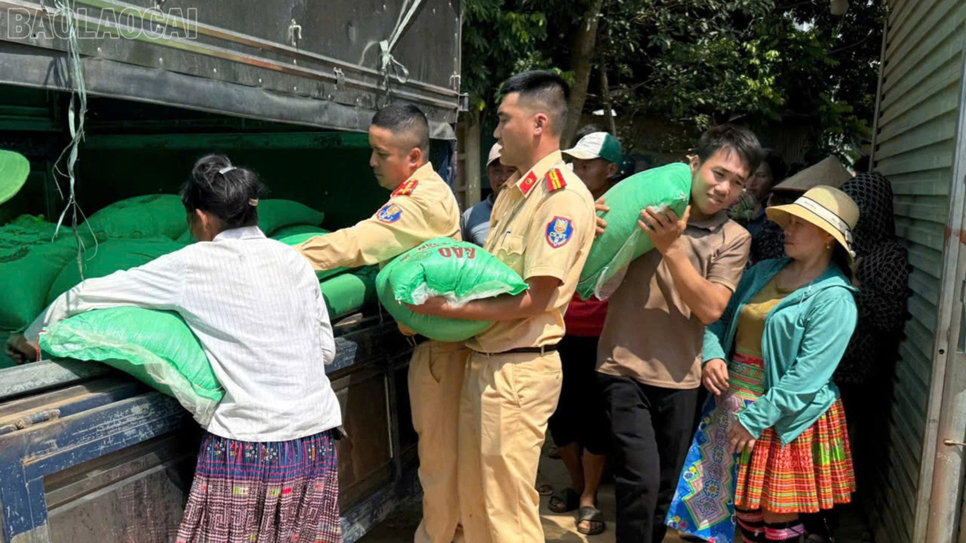 baolaocai-tl_anh-2.jpg