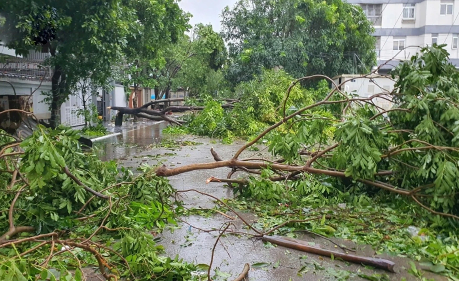 28-8-thiethai.jpg