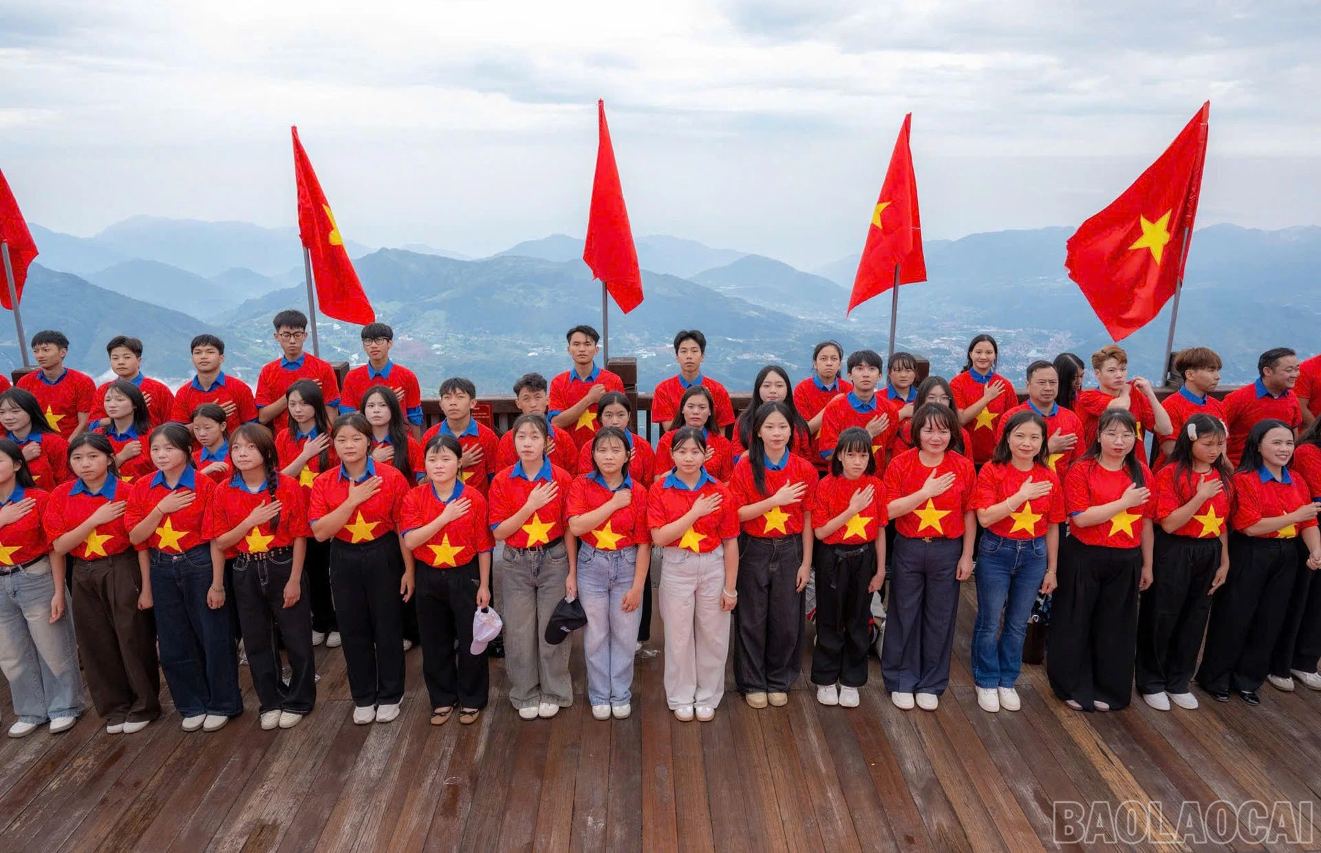 baolaocai-br_1.jpg