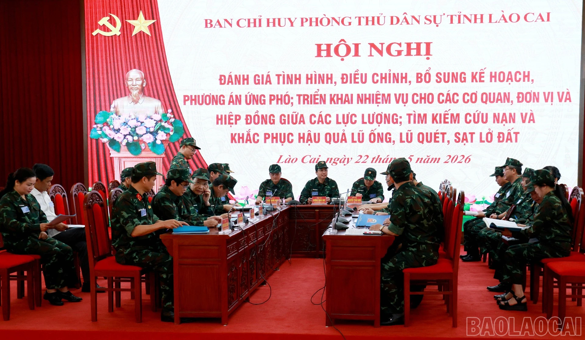 baolaocai-br_3.jpg