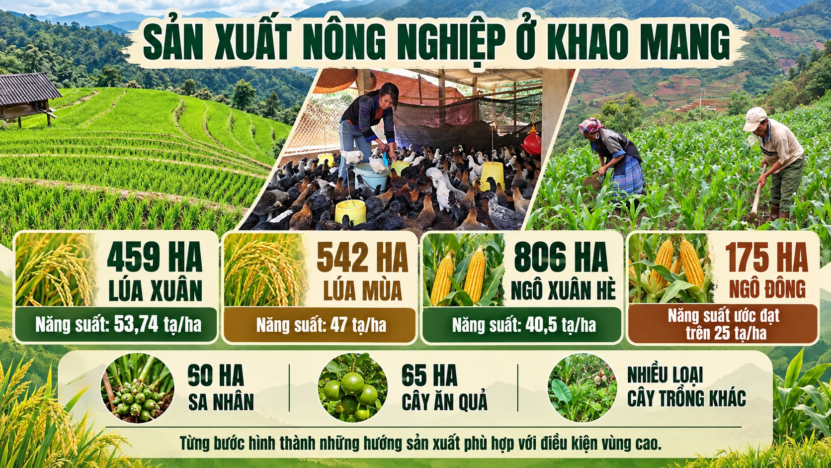 khoa-mang.png