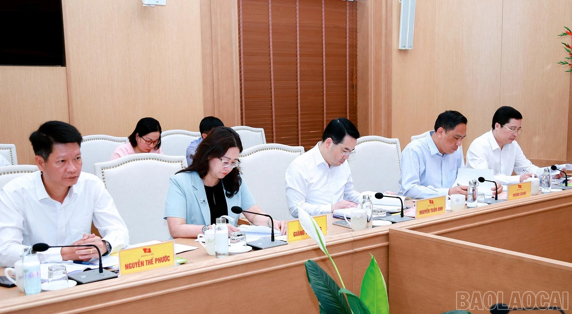 baolaocai-br_5-5-anh3.jpg
