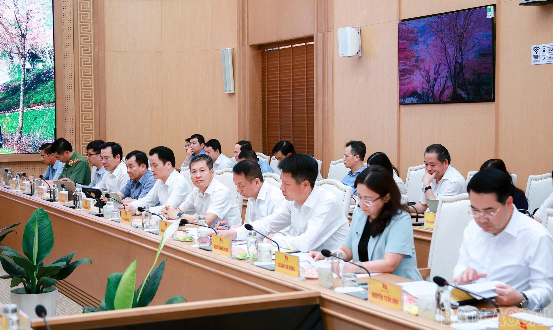 baolaocai-br_5-5-anh4.jpg