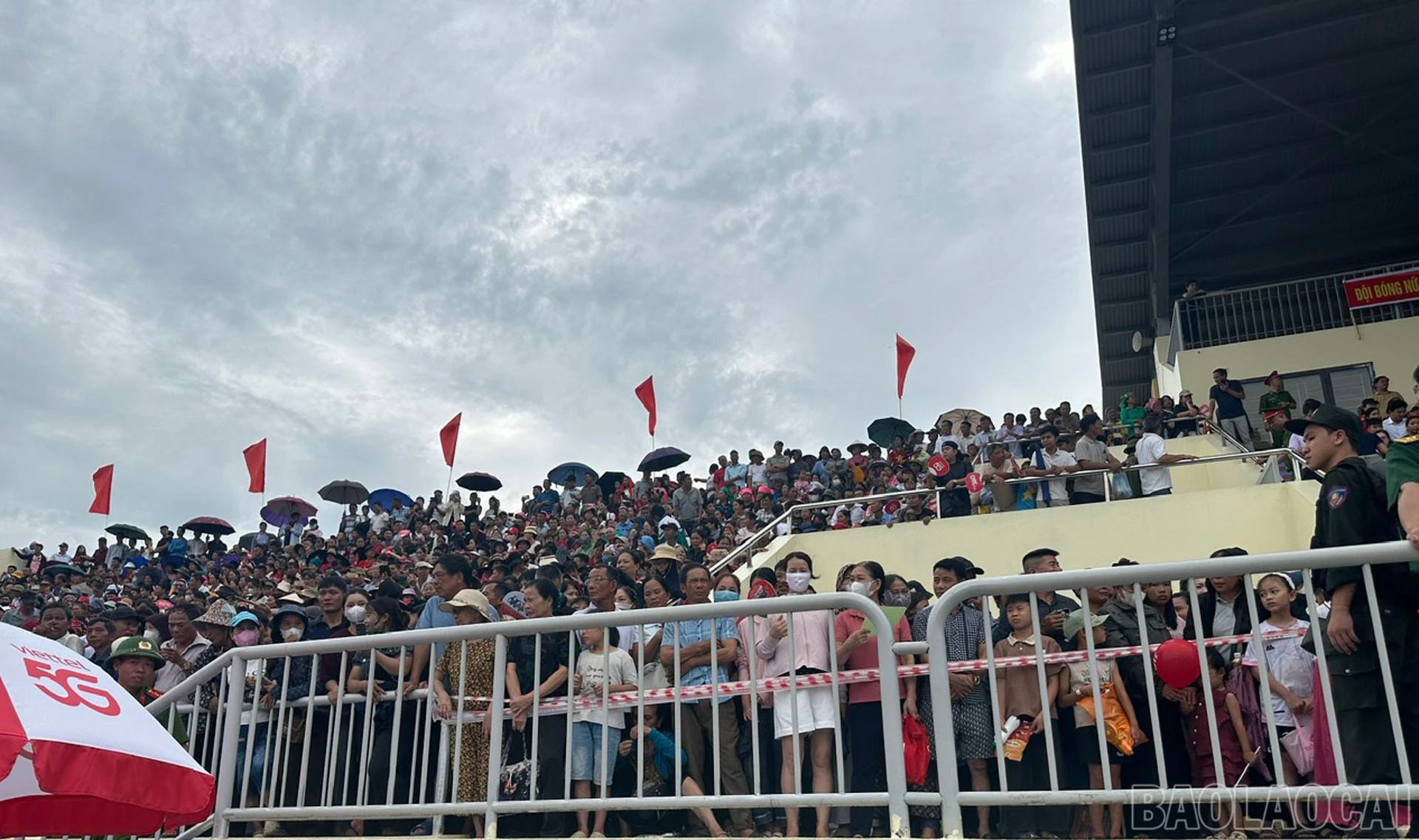 baolaocai-br_2-618.jpg