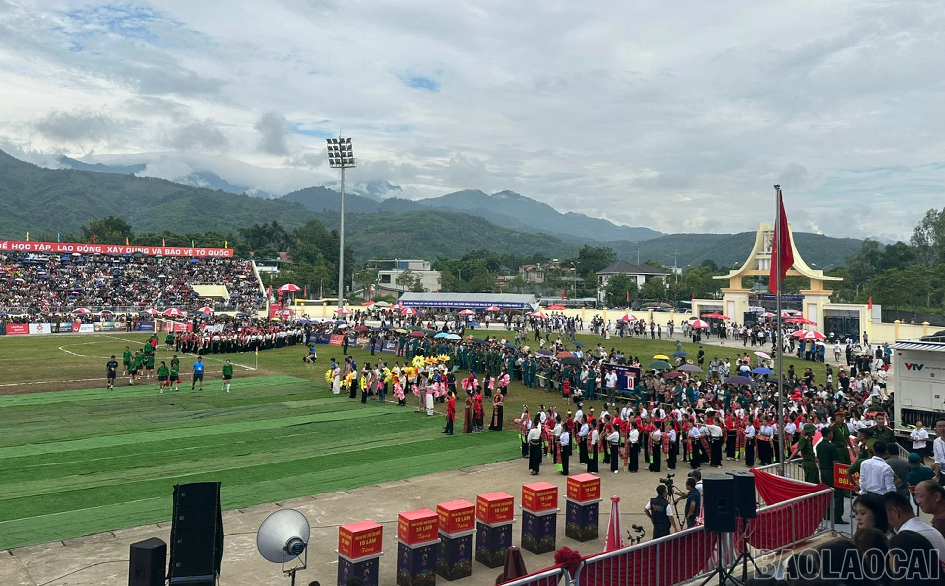baolaocai-br_5-1217.jpg