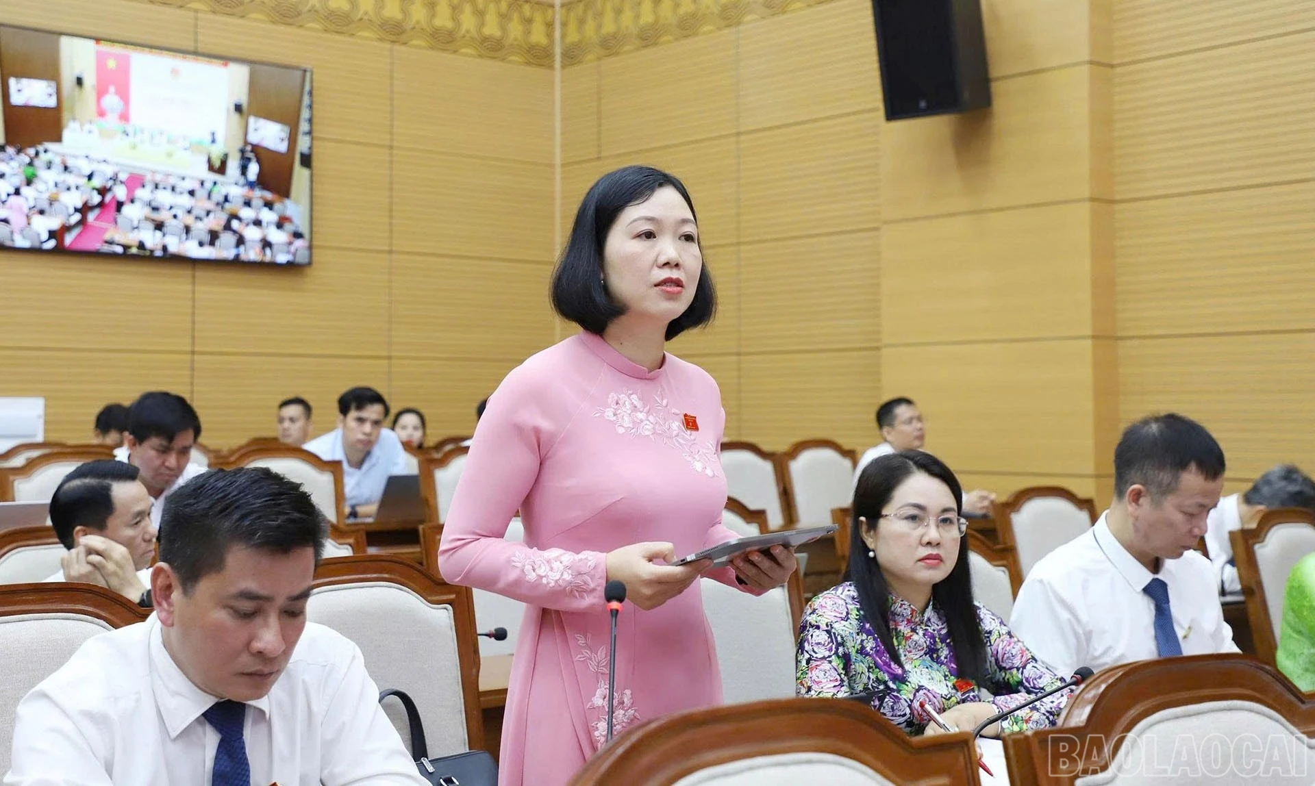 baolaocai-br_30-6-lan-anh.jpg