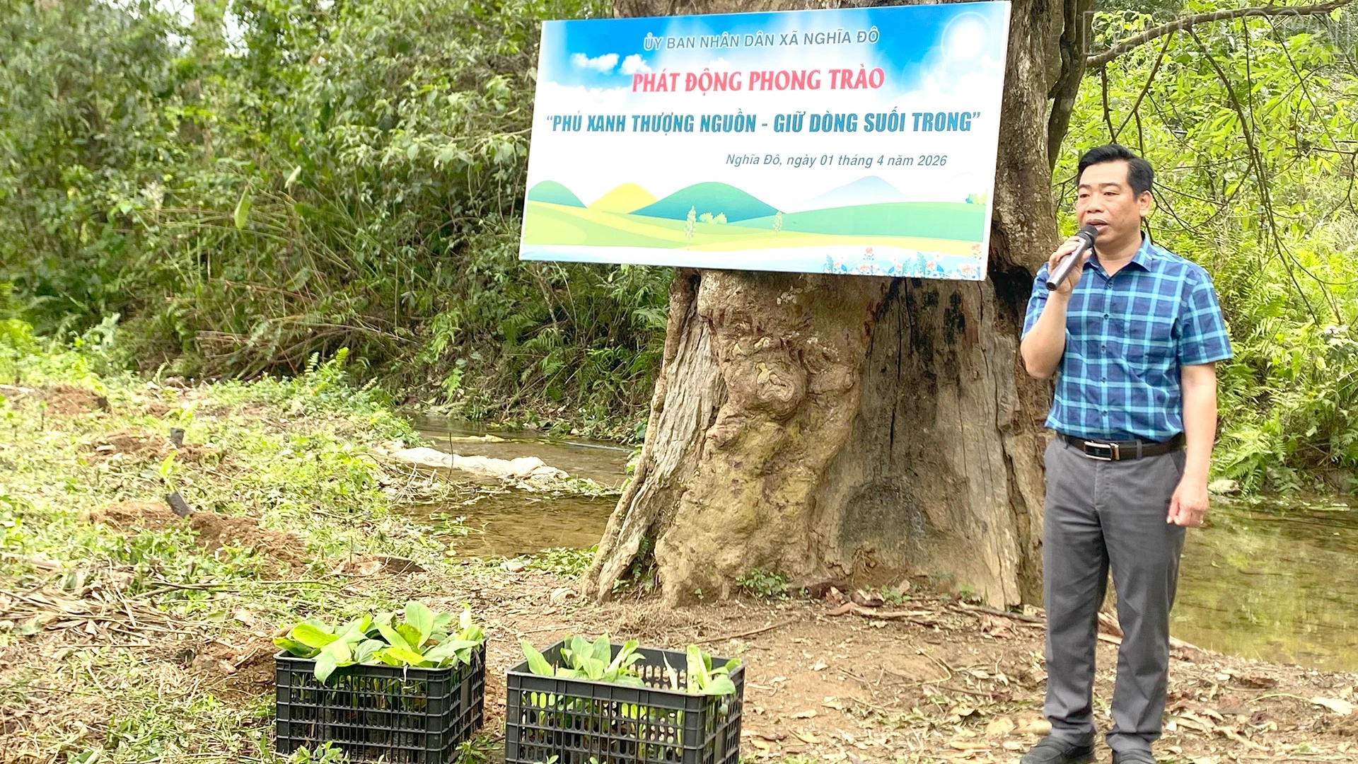 baolaocai-tr_2-4-trong1.jpg