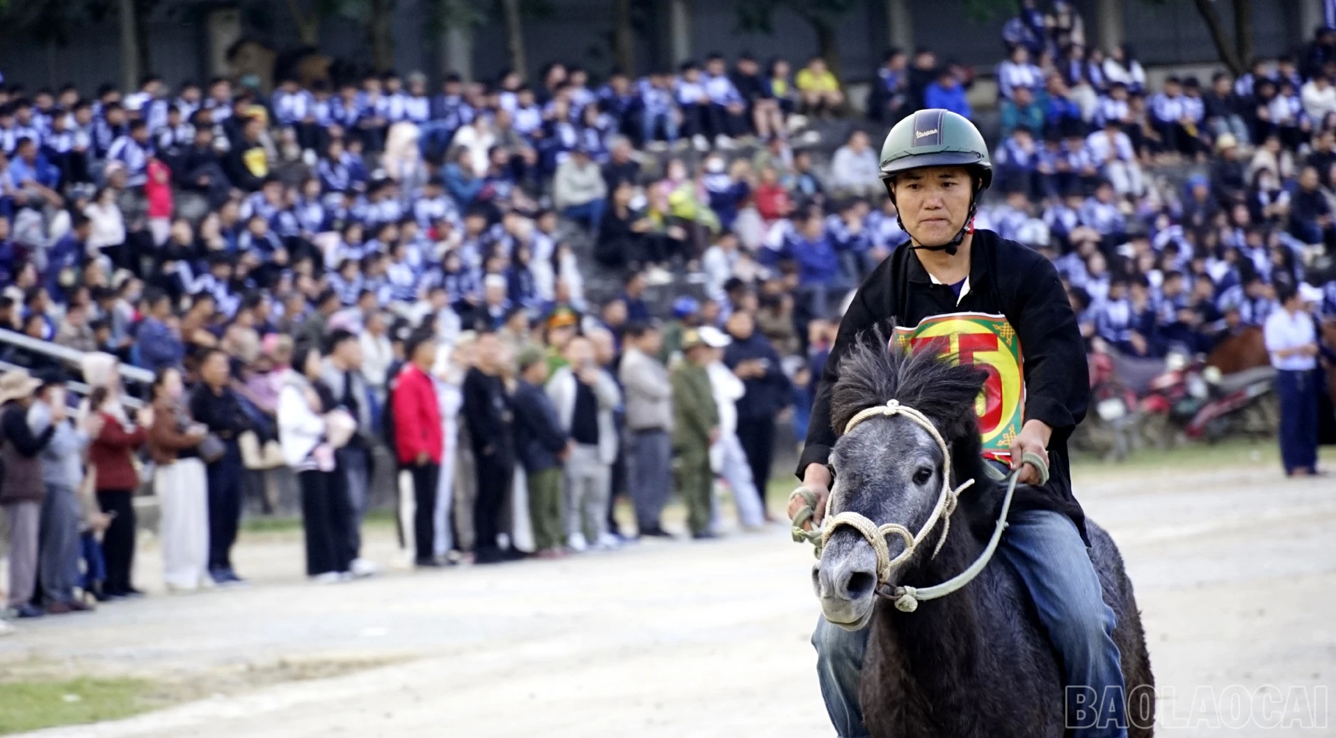 baolaocai-br_dsc5163.jpg