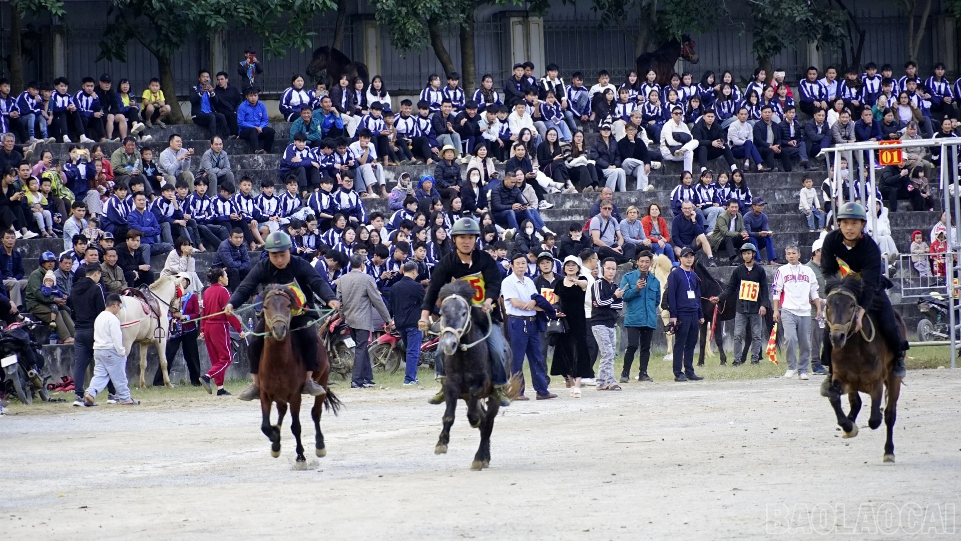 baolaocai-br_dsc5160.jpg