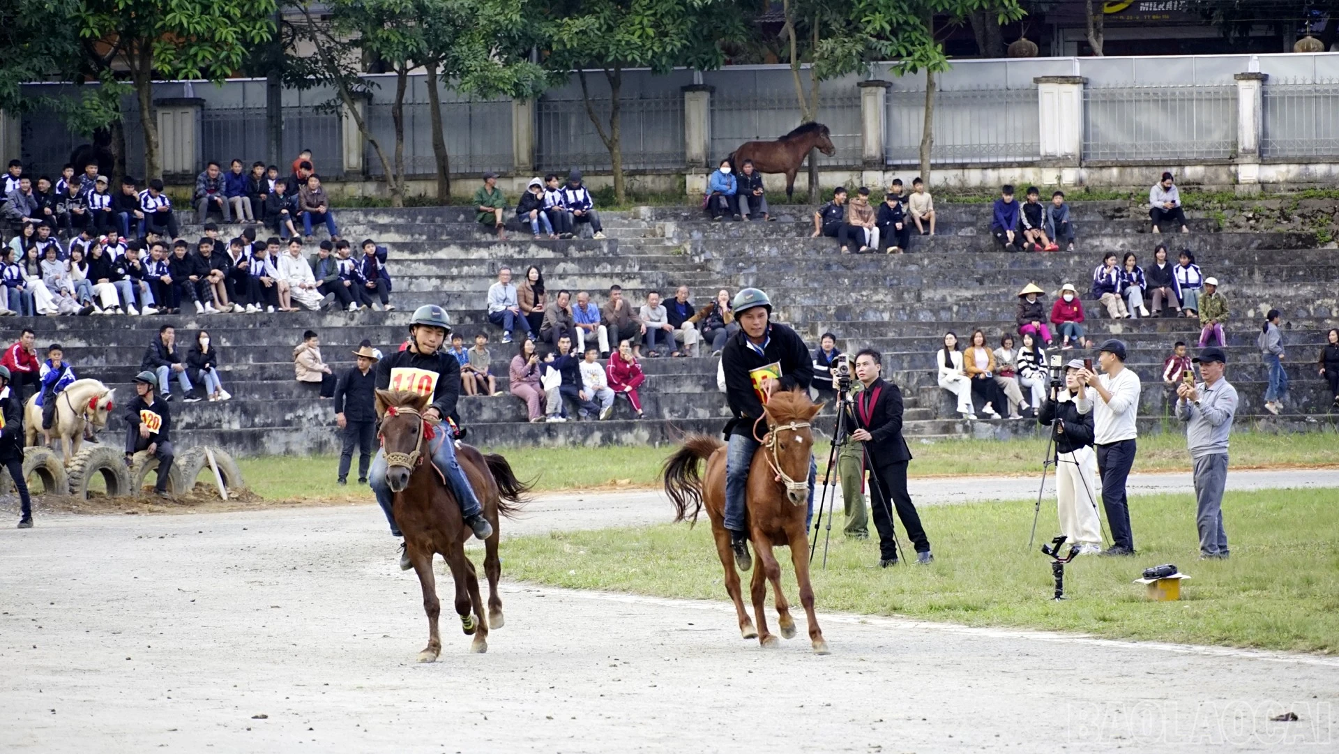 baolaocai-br_dsc5182.jpg