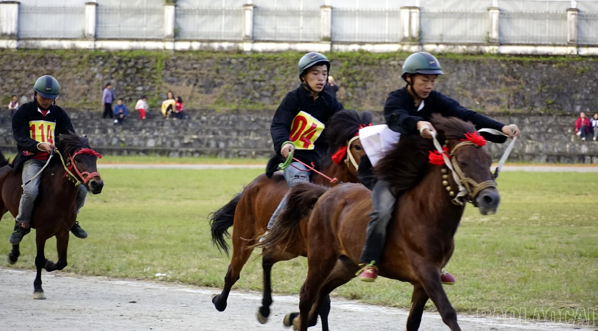 baolaocai-br_dsc5203.jpg