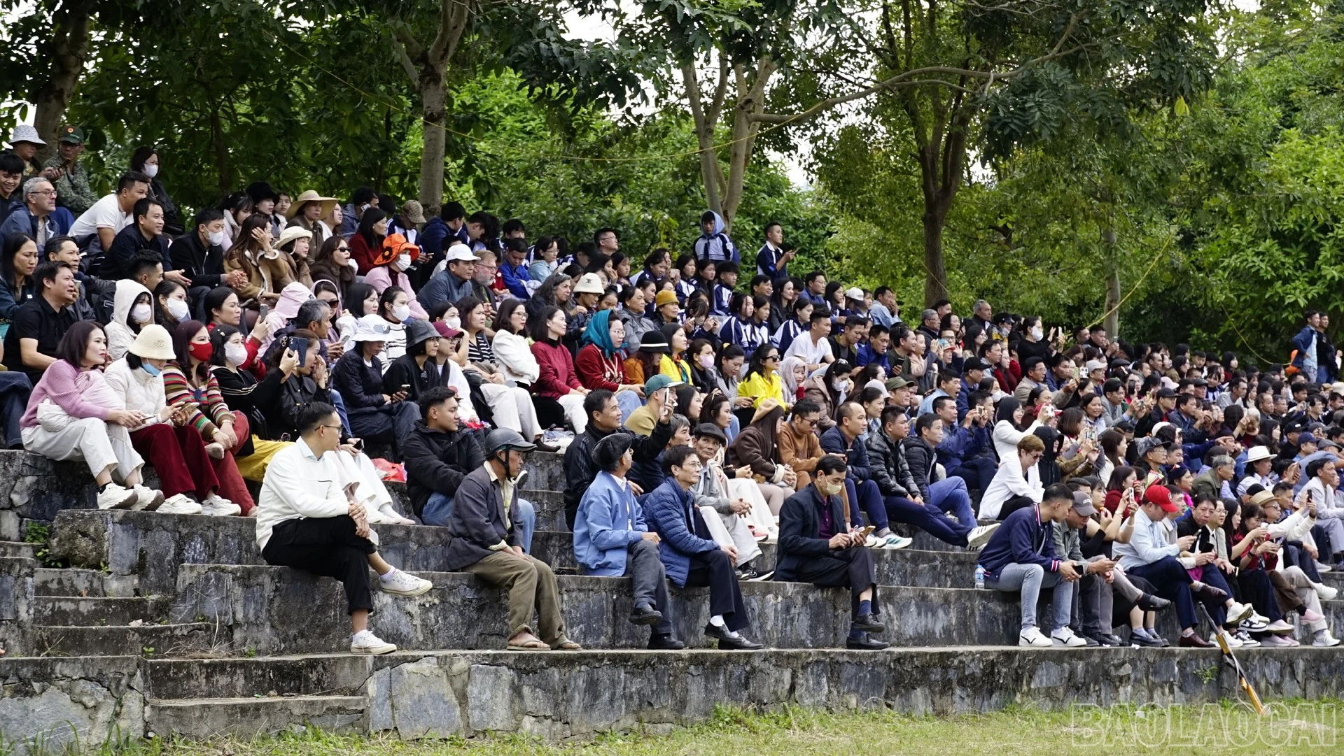 baolaocai-br_dsc5142.jpg