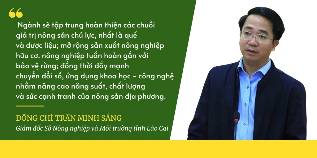phongvan.png
