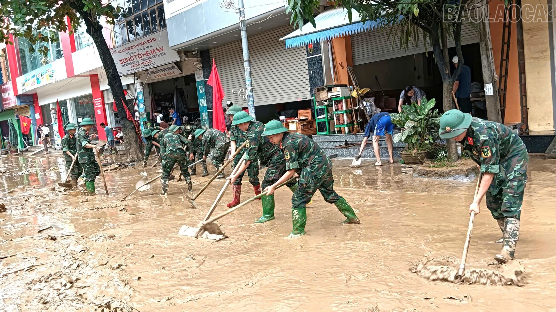 baolaocai-tr_a8.jpg