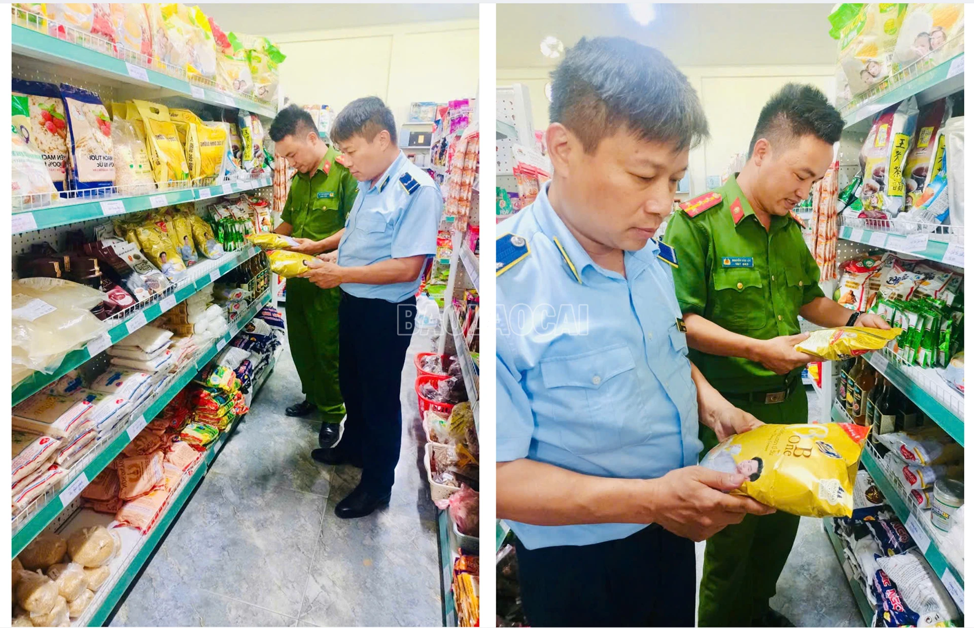 baolaocai-c_anh-2-1.png