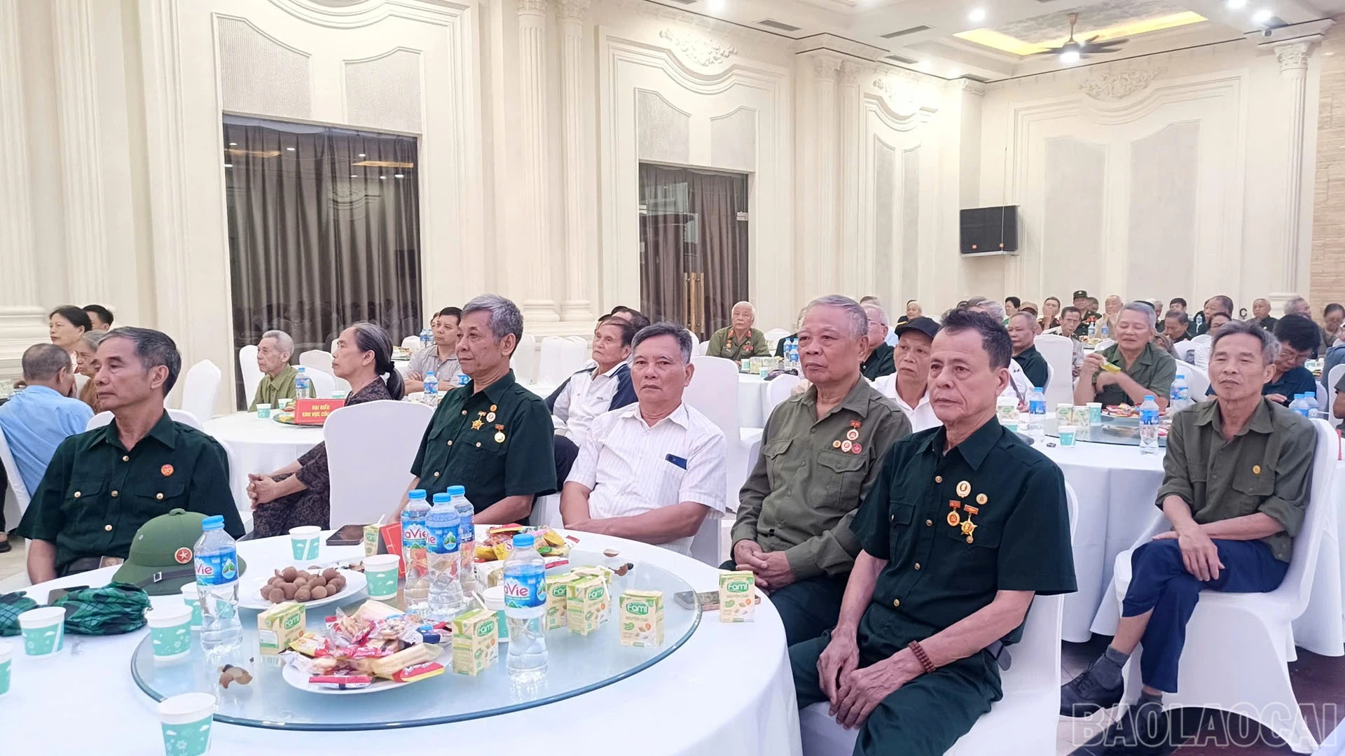 baolaocai-br_daibieu-2.jpg