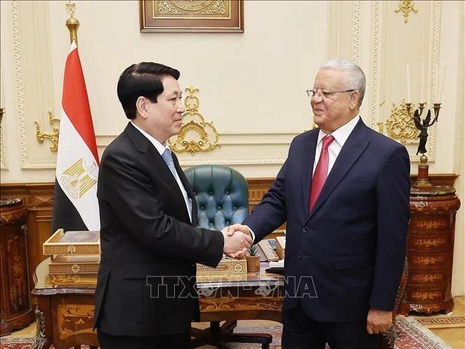 Chủ tịch nước Lương Cường với Chủ tịch Hạ viện Ai Cập Hanafy El-Gebaly tại trụ sở Hạ viện Ai Cập.