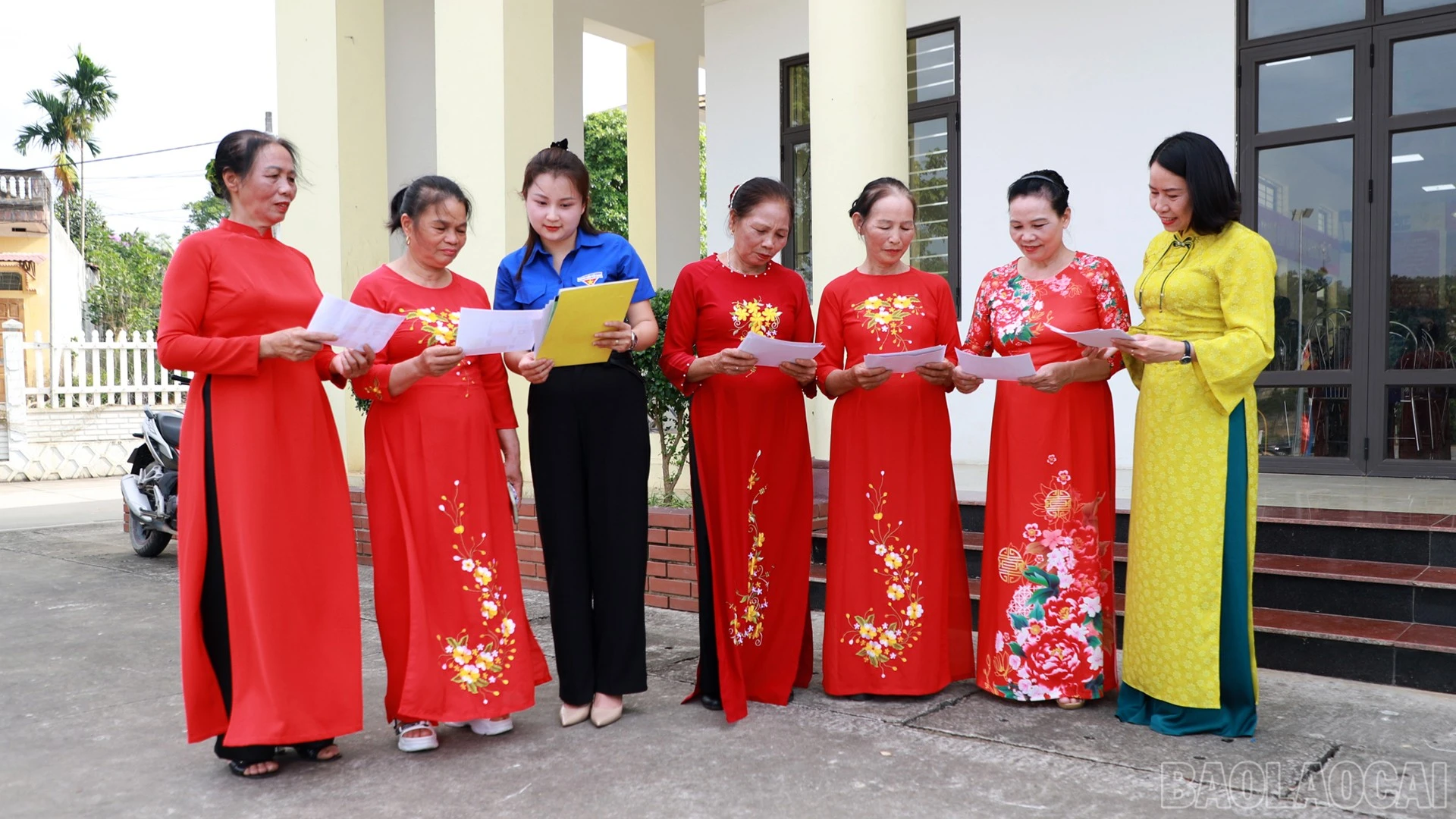 baolaocai-br_anh-1.jpg