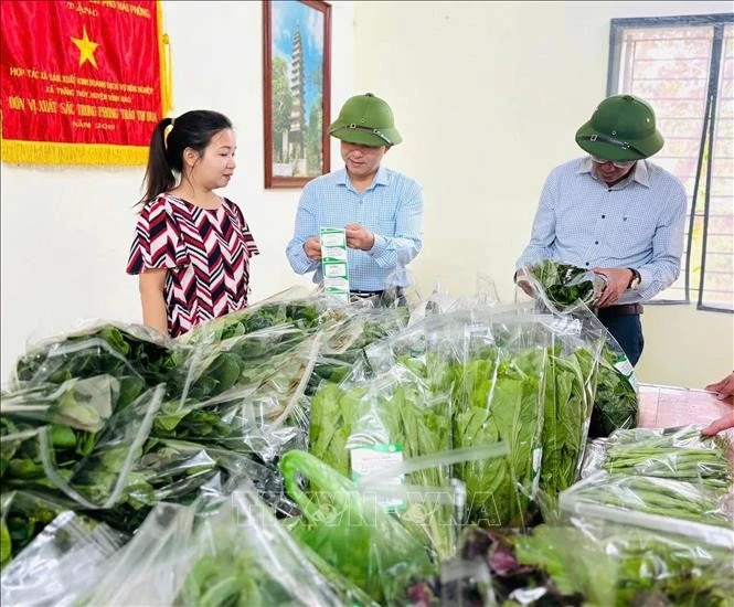Chị Cao Thị Hằng, Giám đốc HTX sản xuất kinh doanh dịch vụ nông nghiệp Thắng Thủy (xã Vĩnh Thịnh, TP Hải Phòng), một trong những điển hình trong phát huy những nguồn hỗ trợ từ các cấp Hội Phụ nữ thành phố để ứng dụng có hiệu quả vào sản xuất, kinh doanh, góp phần phát triển kinh tế nông nghiệp ở địa phương.