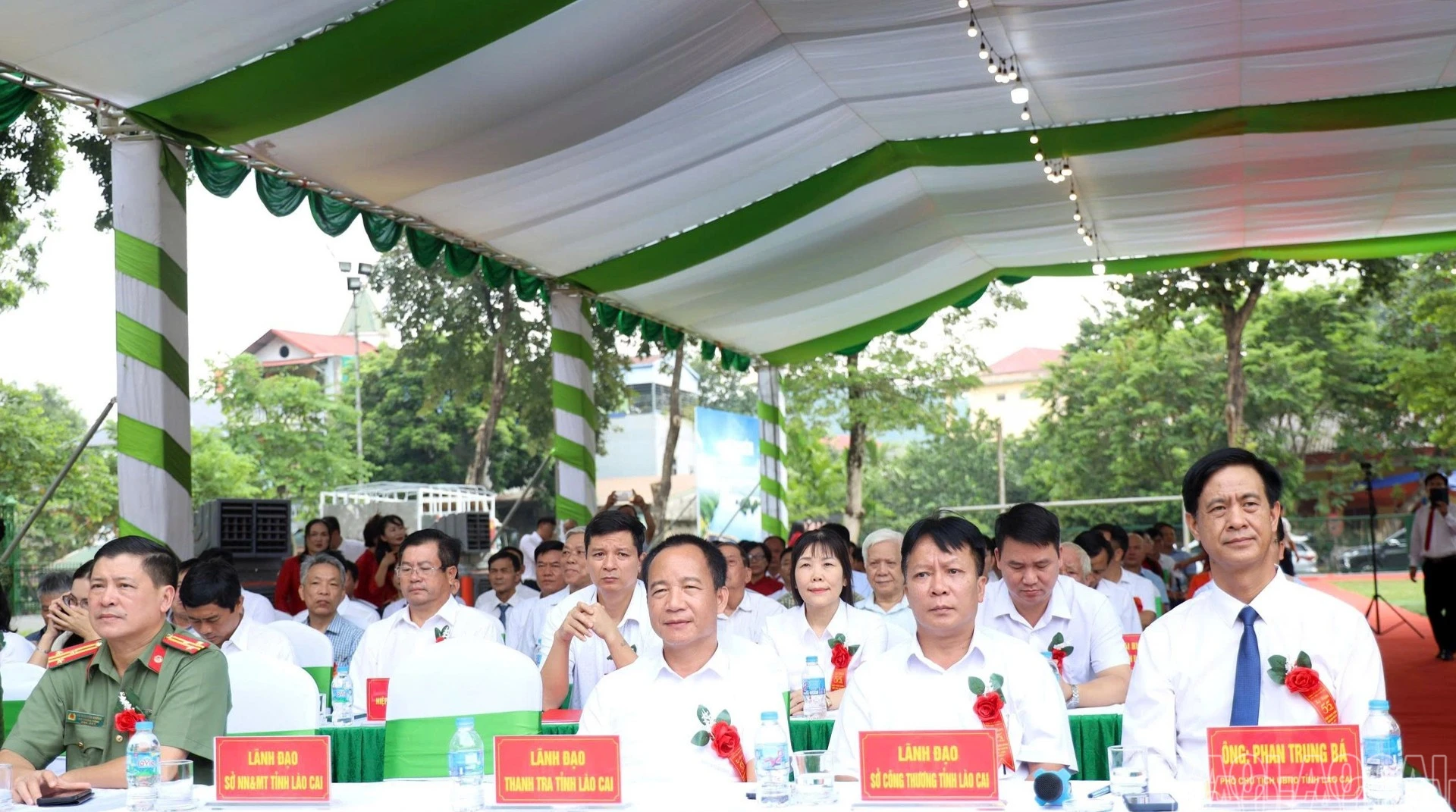 baolaocai-br_2-10-daibieu.jpg
