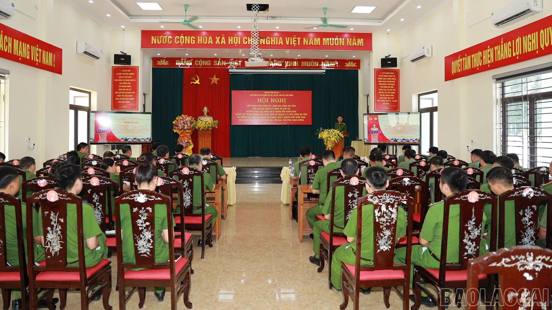 baolaocai-br_anh-1.jpg