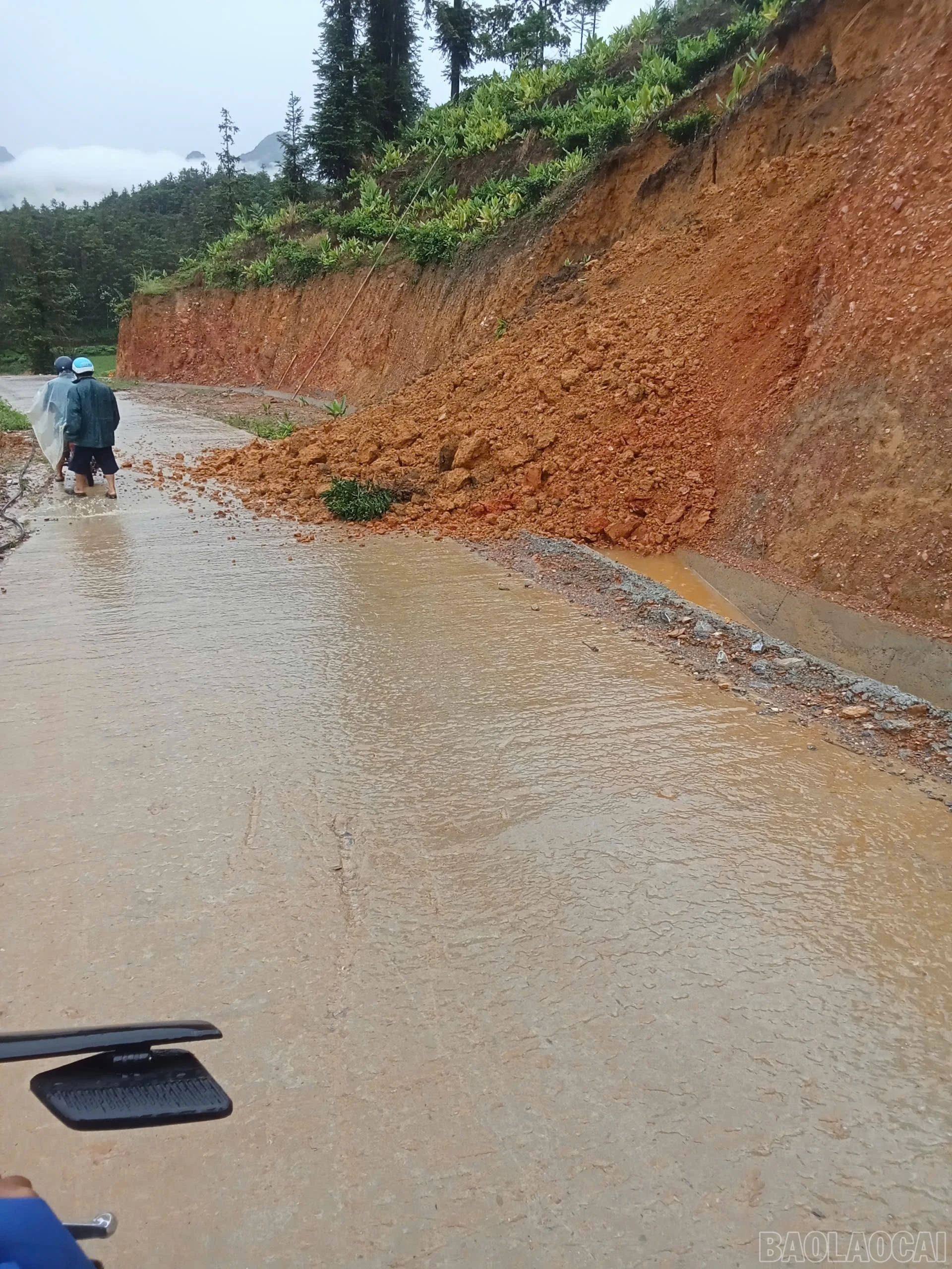 baolaocai-br_1783481051796-4545363792464291289-g2684944094539147663-3e14e2f248b3bedade1206a779817cd9.jpg