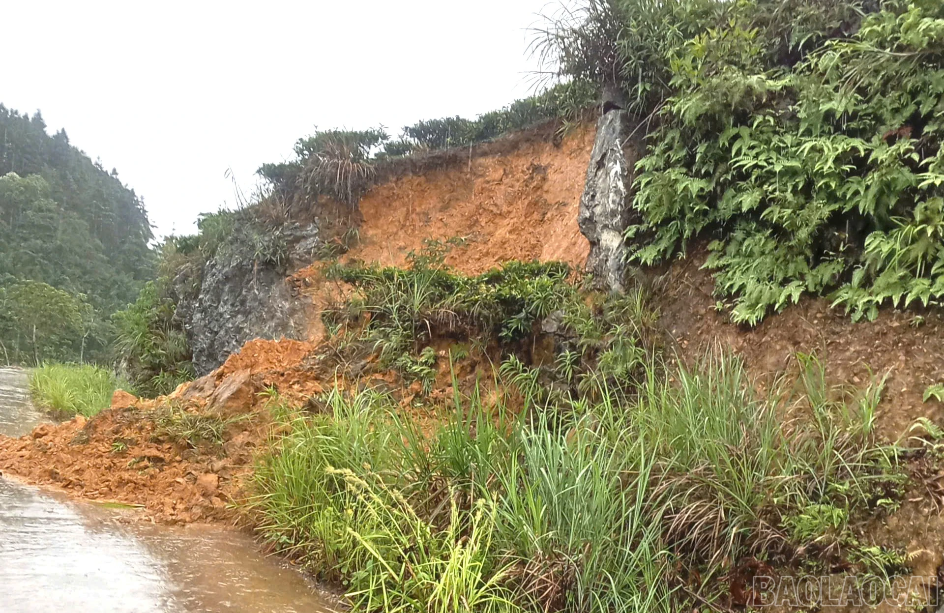 baolaocai-br_tuyen-duong-thon-sao-co-sin-bi-sat.jpg