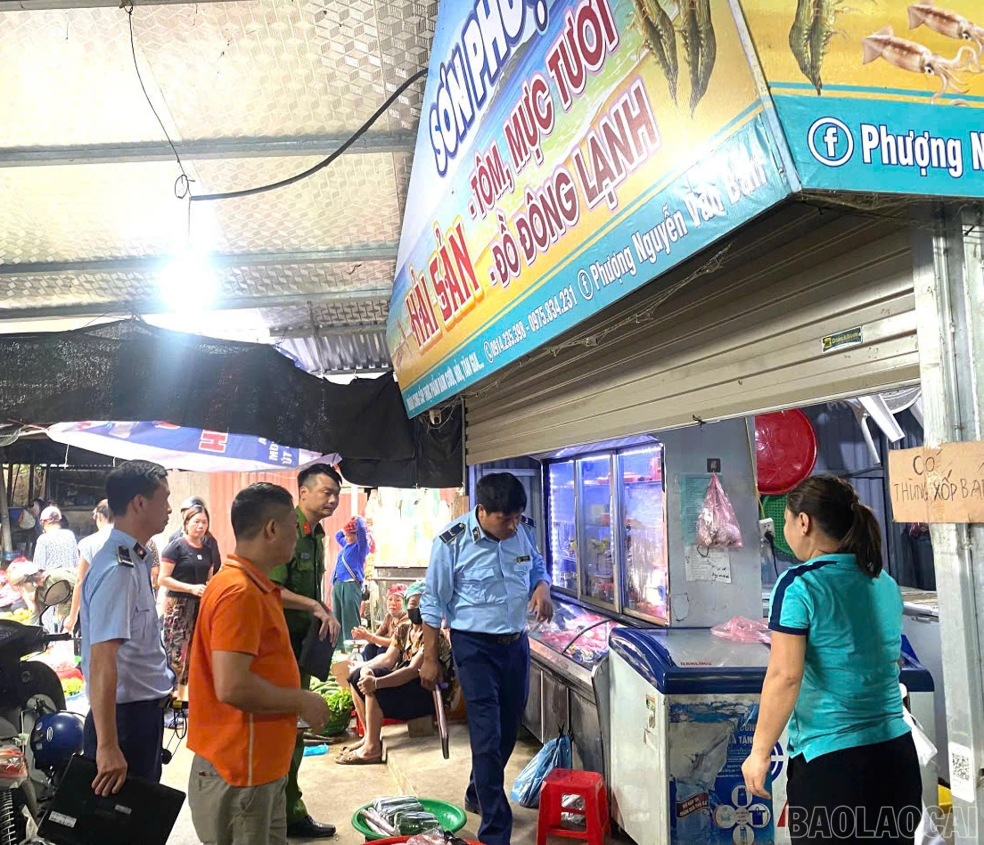 baolaocai-br_z8021432644808-5911b375527e6e9a3939c8265580d492.jpg