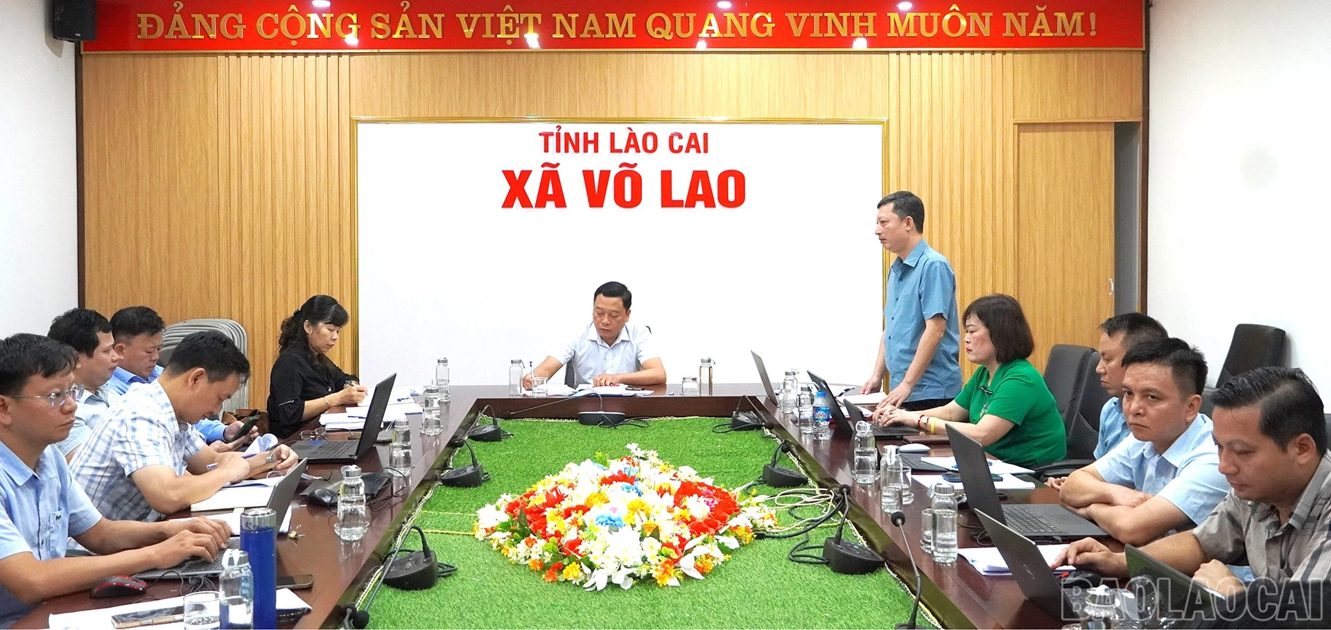 baolaocai-br_vl2.jpg