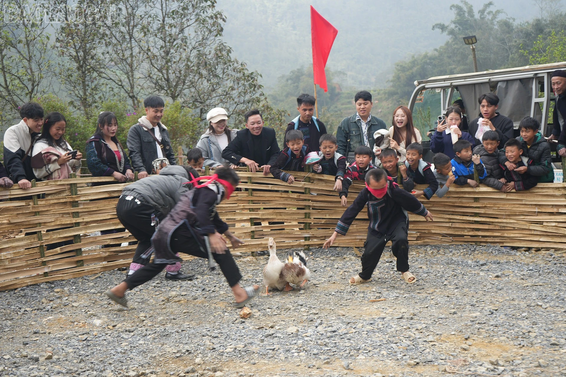 baolaocai-tl_bit-mat.jpg