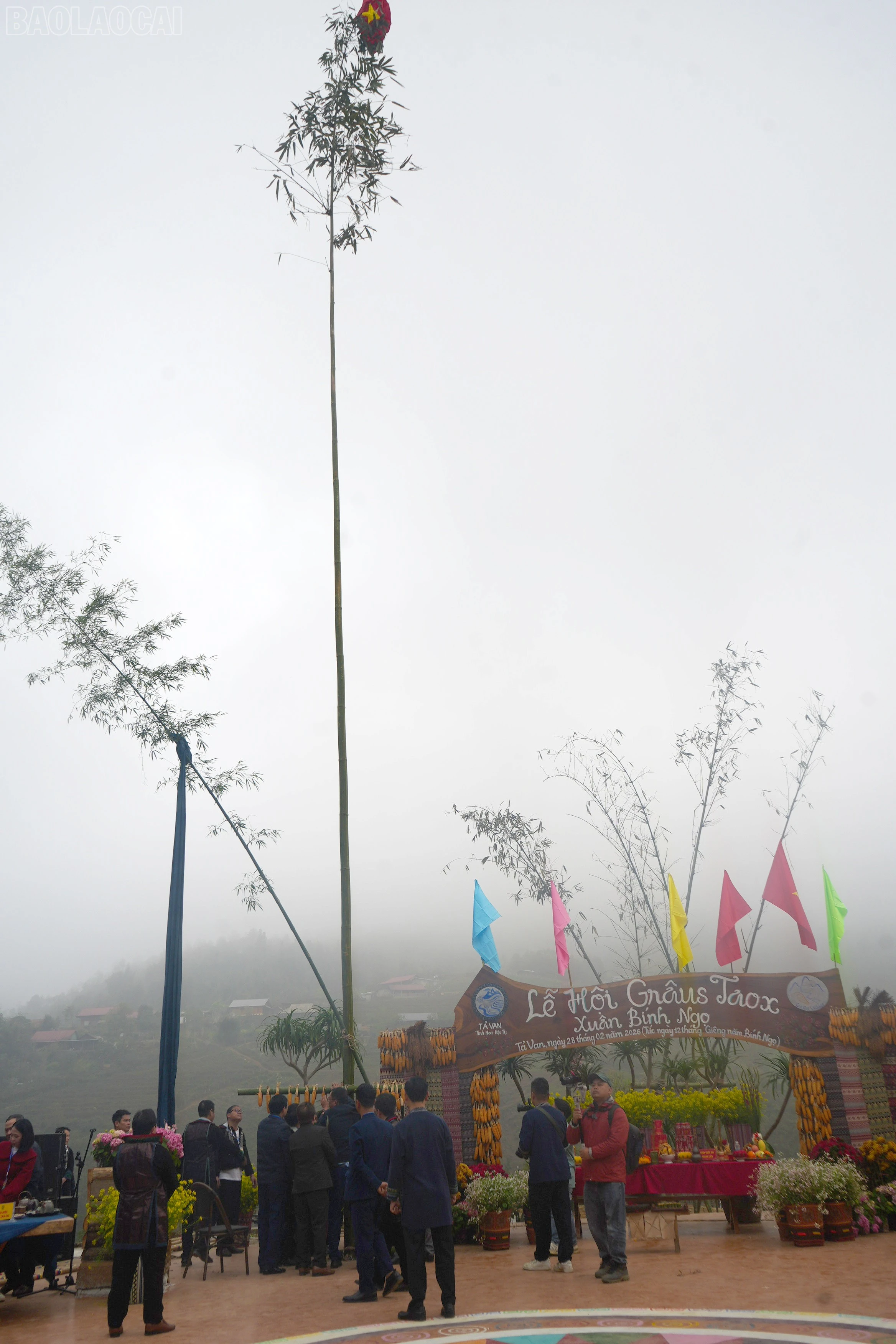 baolaocai-tl_dsc04057-2.jpg