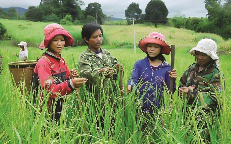 Ưu tiên phân bổ ngân sách trung ương ở mức cao nhất cho các xã, thôn đặc biệt khó khăn, vùng đồng bào dân tộc thiểu số và miền núi.