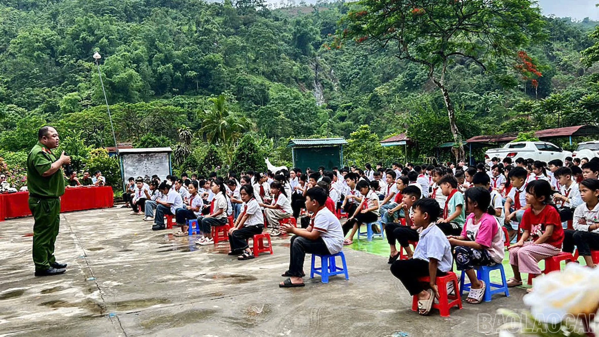 baolaocai-br_4.jpg