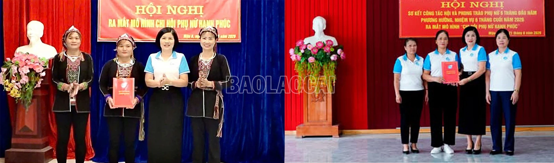 baolaocai-c_24-6-vayen.jpg