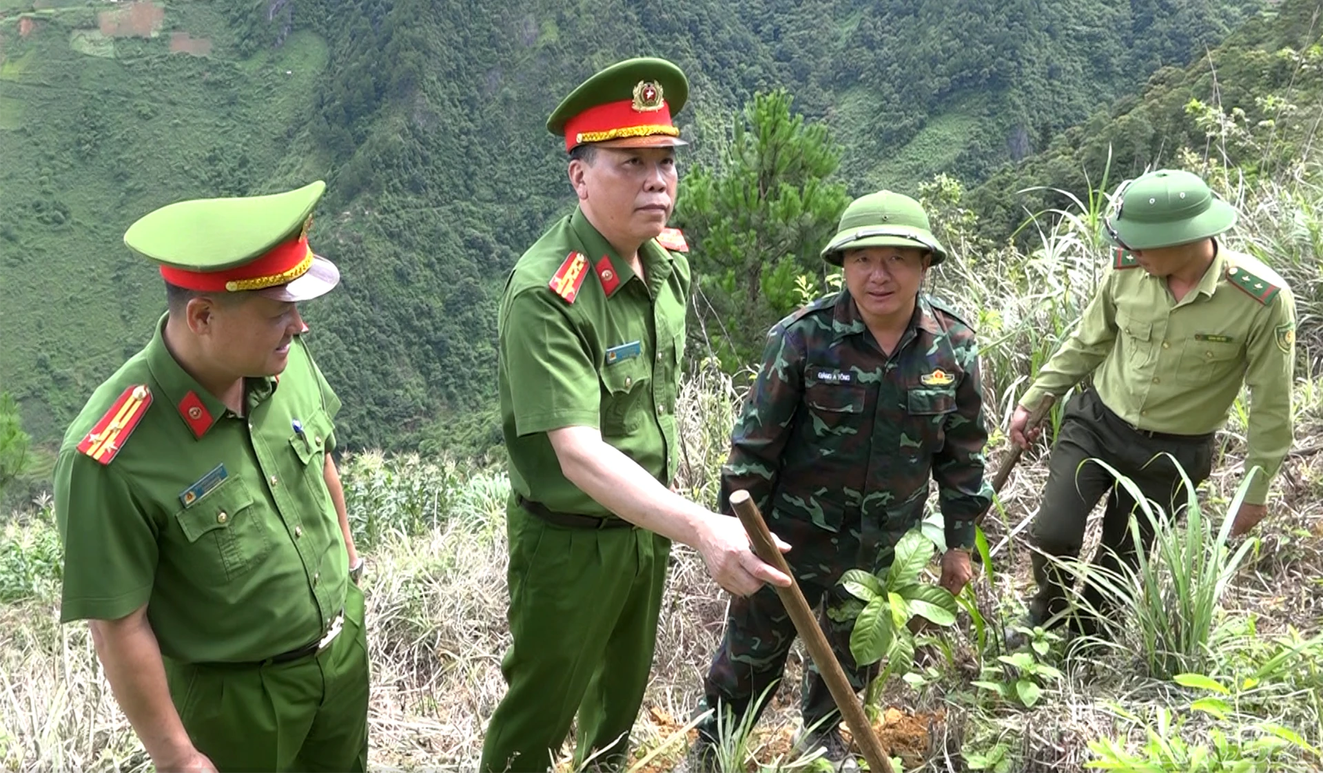 baolaocai-br_screenshot-2026-06-24-151758.png