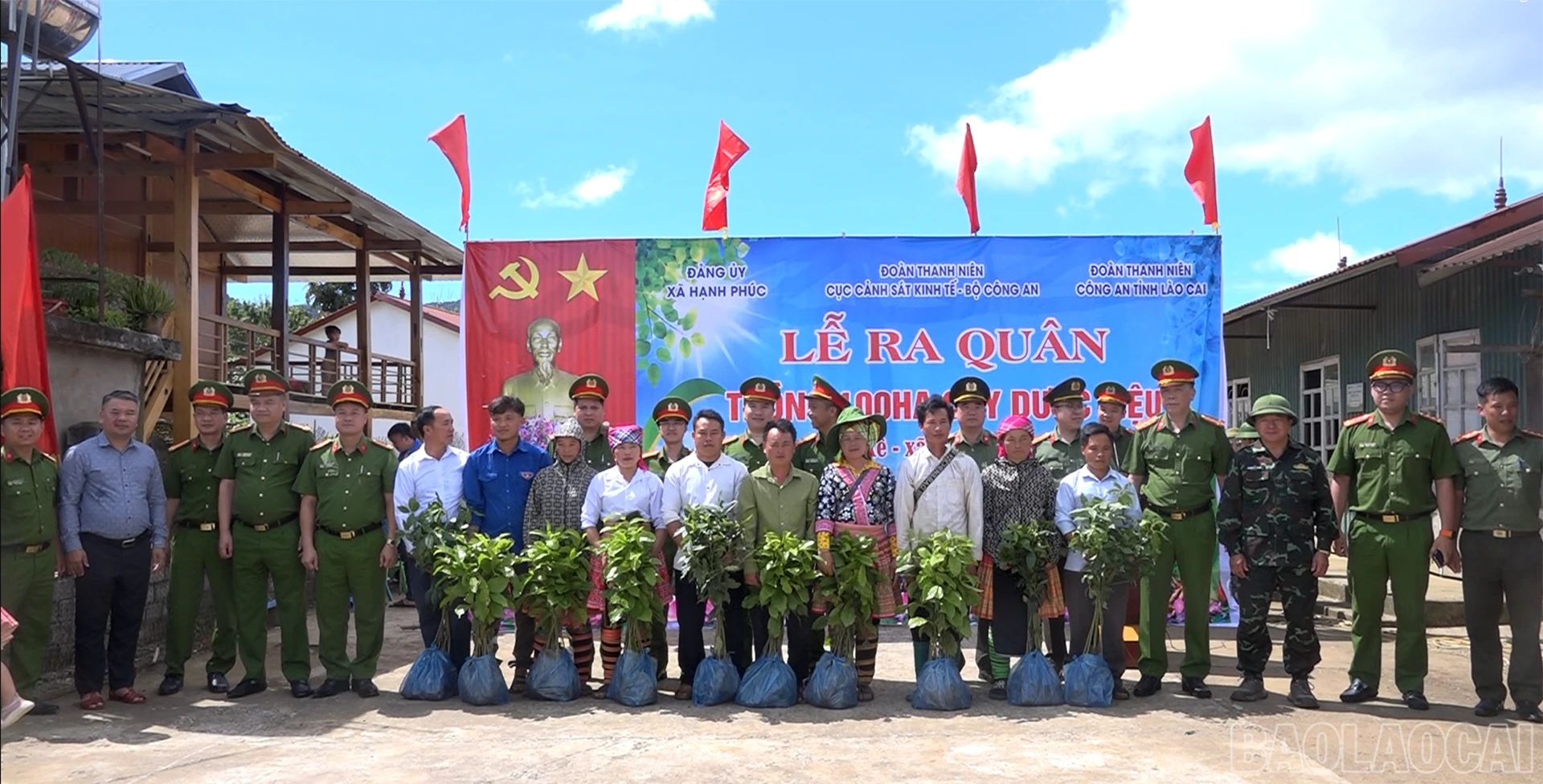baolaocai-br_screenshot-2026-06-24-134939.png