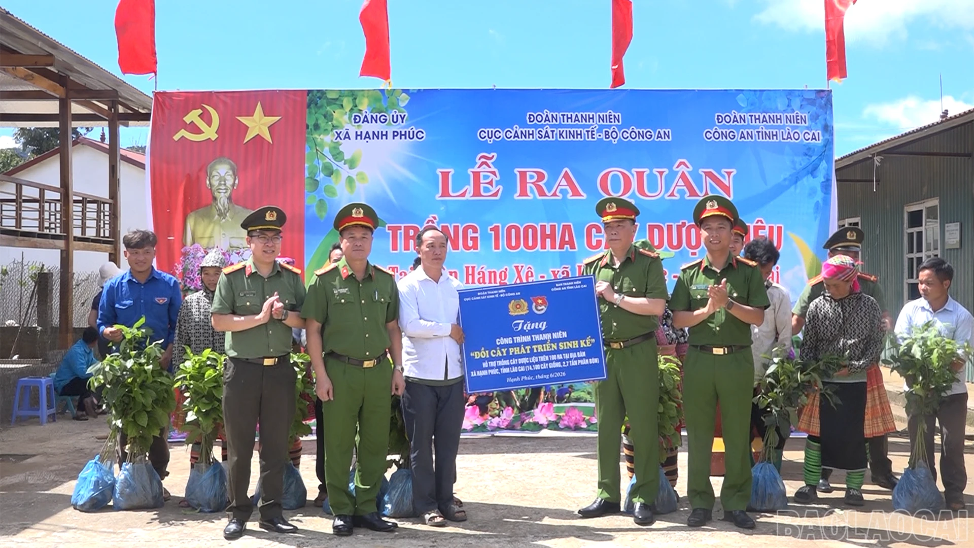 baolaocai-br_screenshot-2026-06-24-135001.png