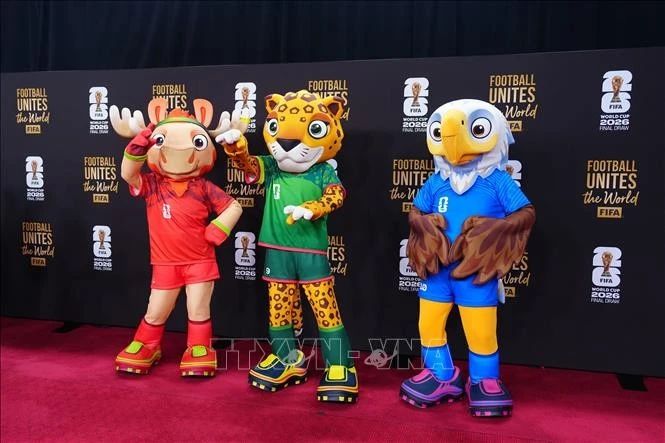 3-6-world-cup-010626.jpg