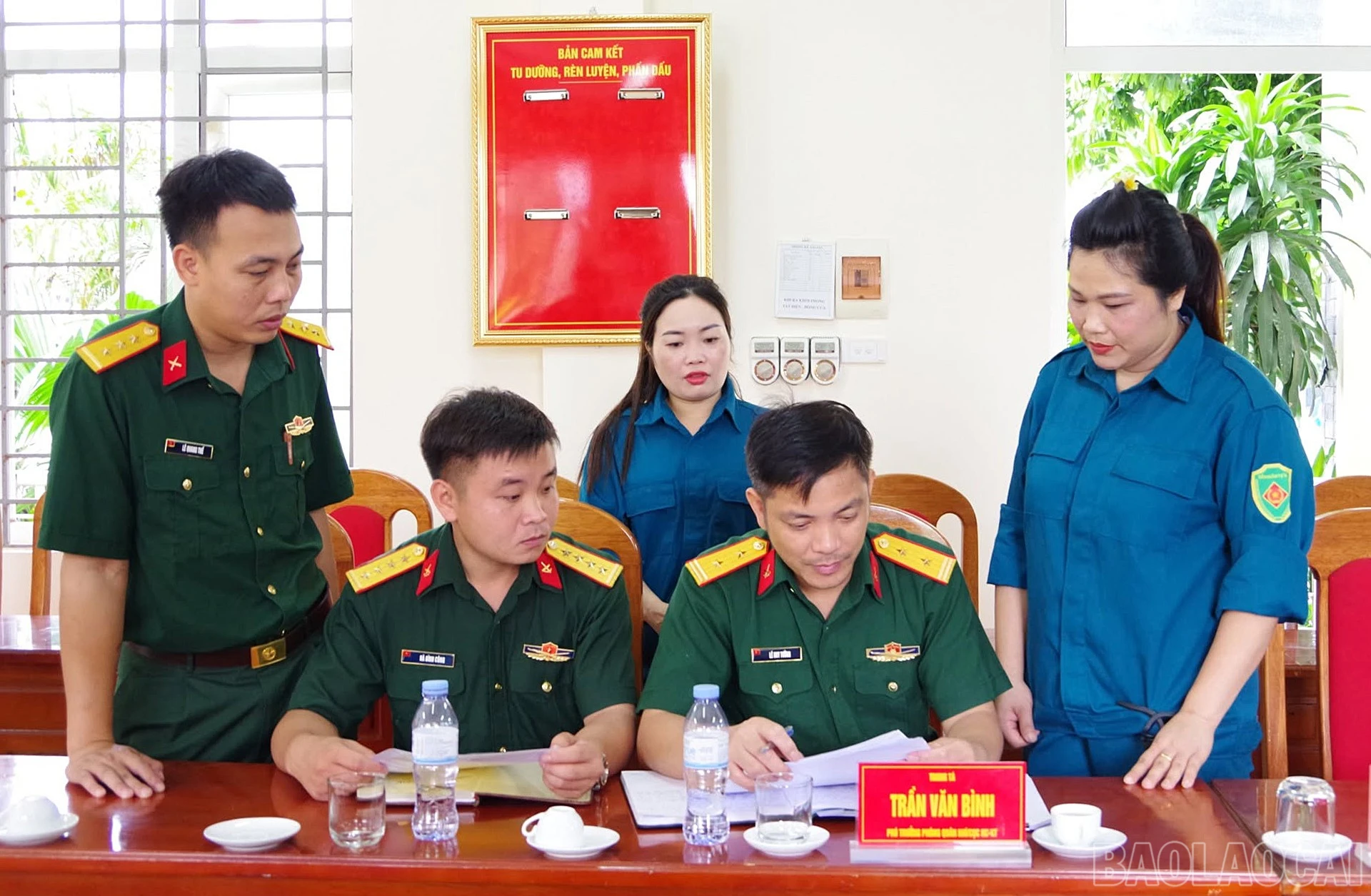 baolaocai-br_a5-19.jpg