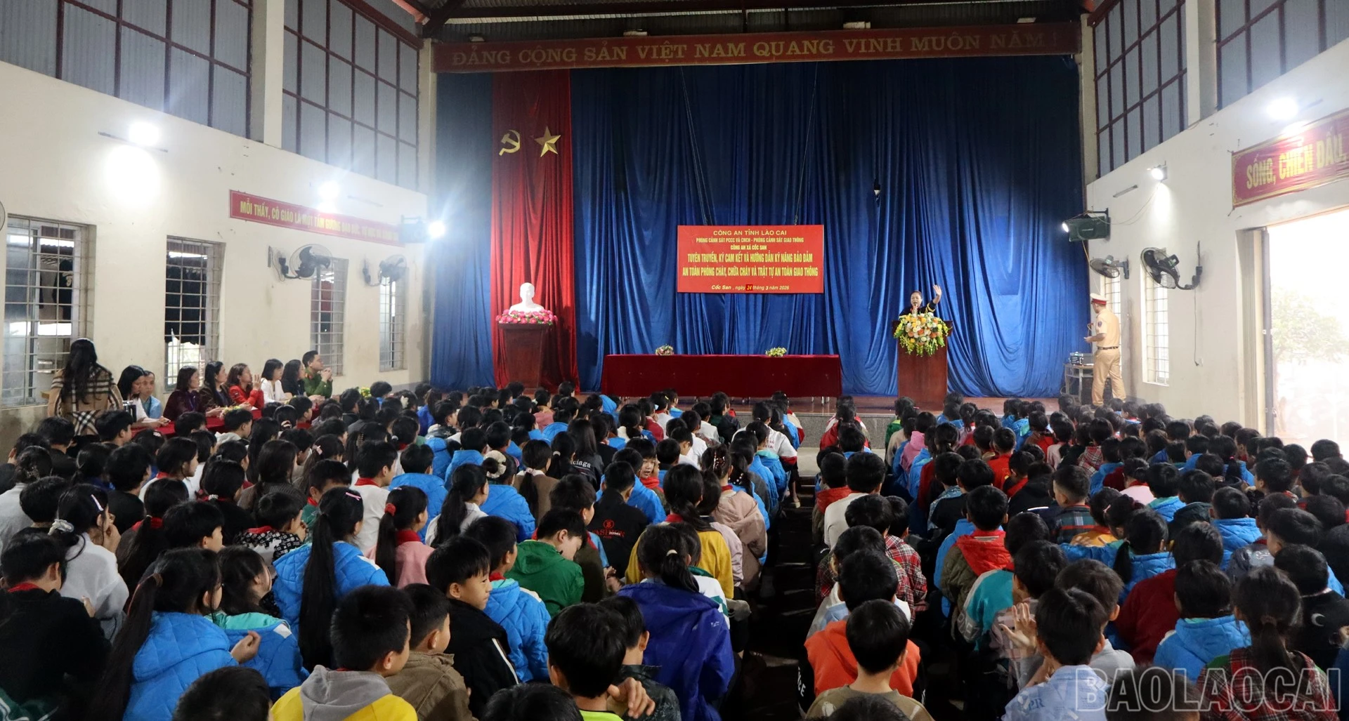 baolaocai-br_1-157.jpg