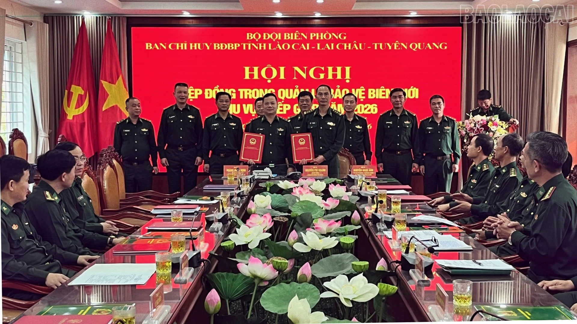 baolaocai-tr_4.jpg