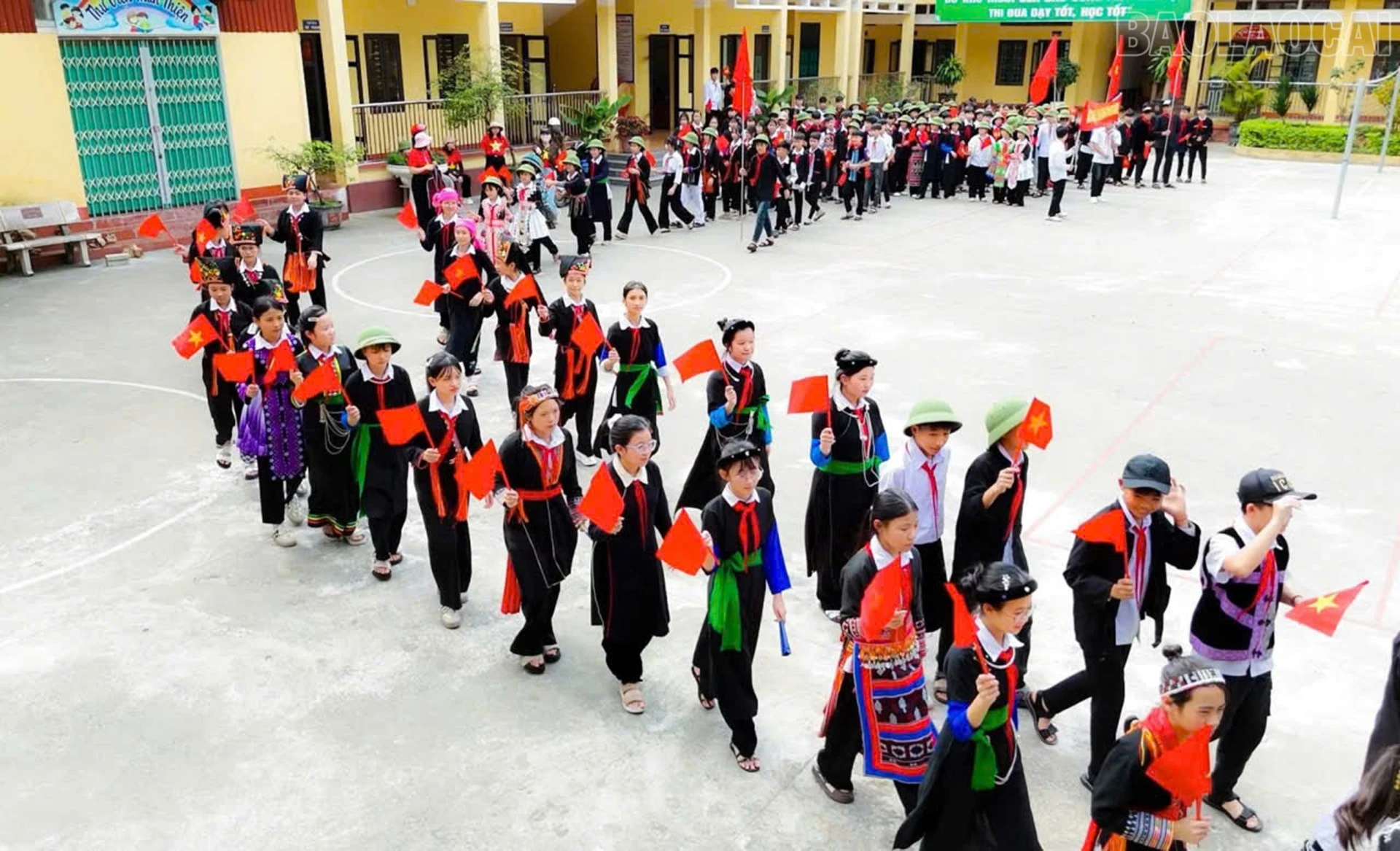 baolaocai-tr_mau-1.jpg