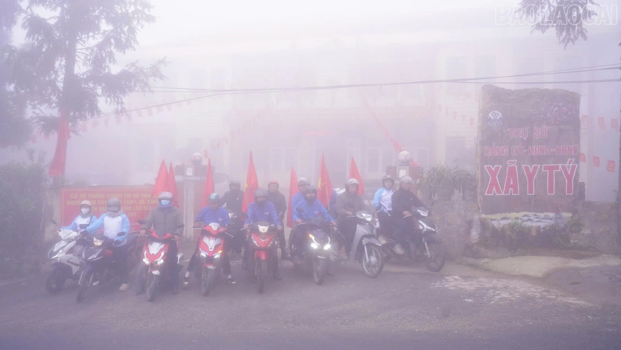 baolaocai-tr_z7616456249732-1003afe0fd4eb08c58851a895bec36d6.jpg