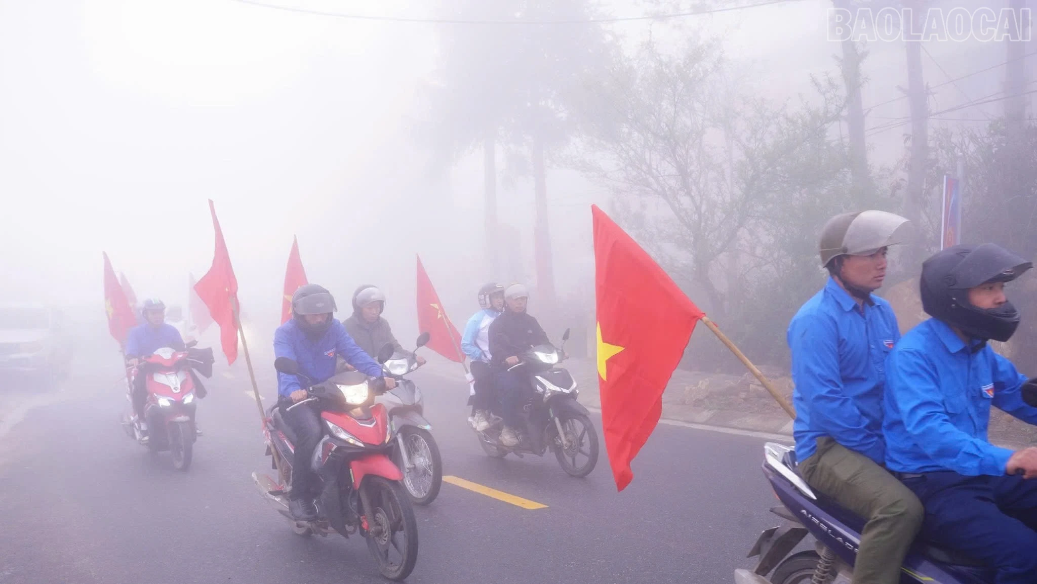 baolaocai-tr_z7616456279511-ac80566d1814a510f7a9970305a8dd85.jpg