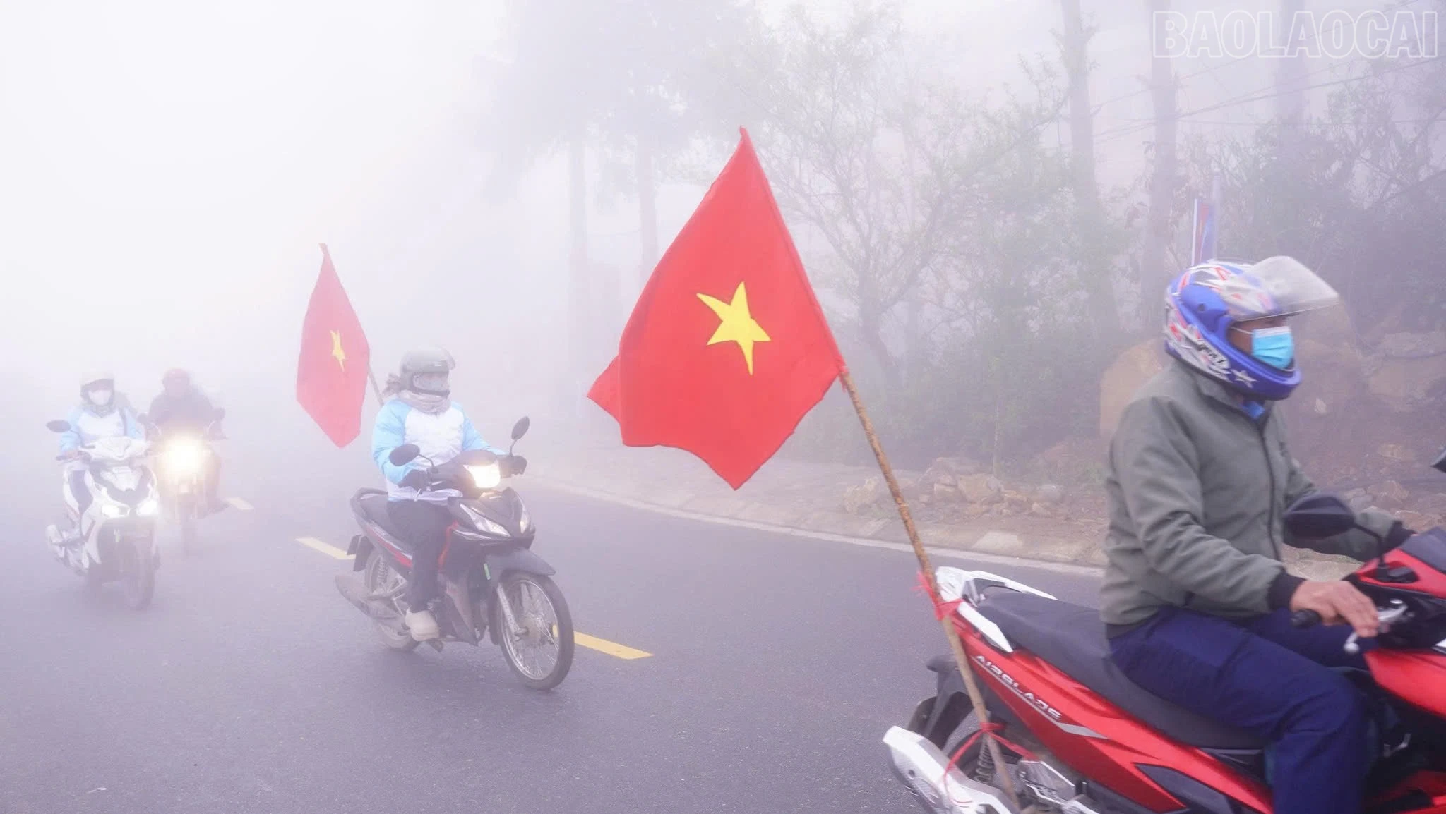 baolaocai-tr_z7616456280801-f53d40567e65aef3f99a5eba401802ce.jpg