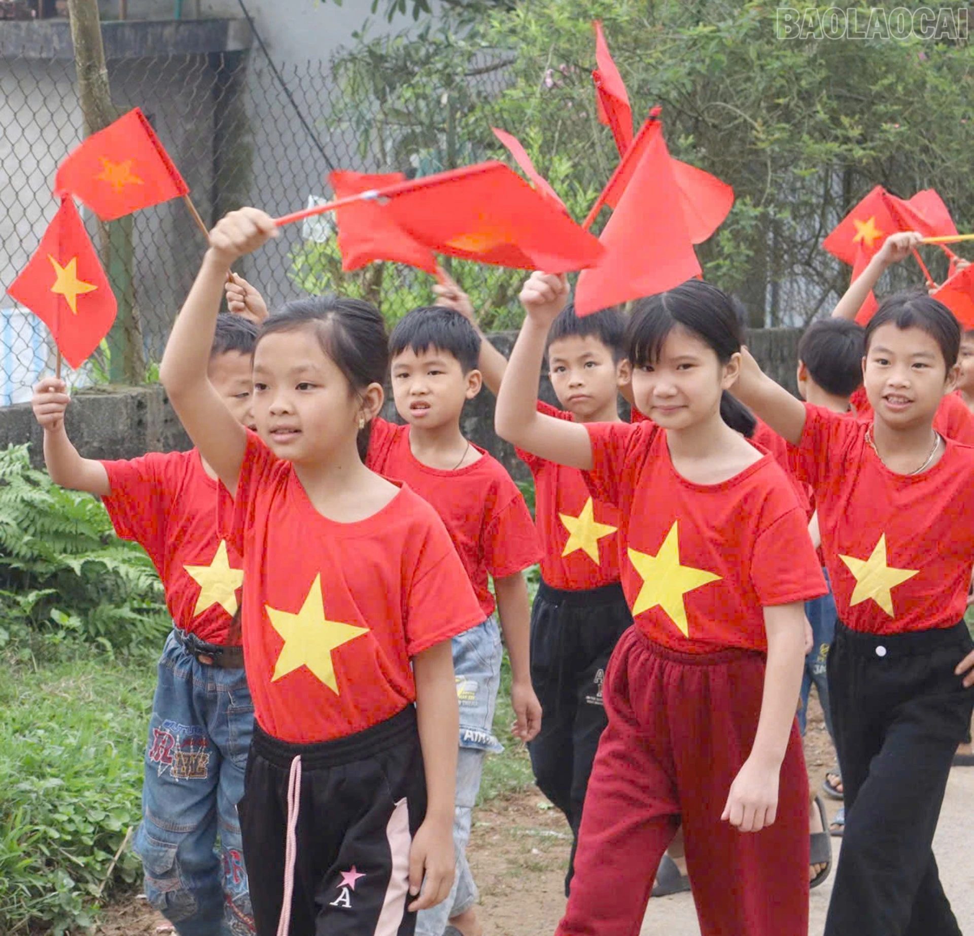 baolaocai-tr_13-3-coc6.jpg