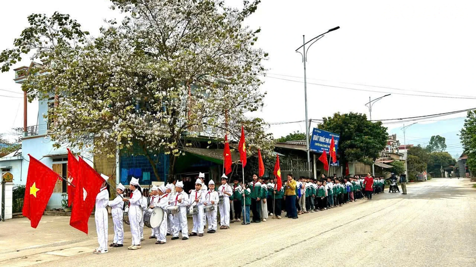 baolaocai-tr_trungtam4.jpg