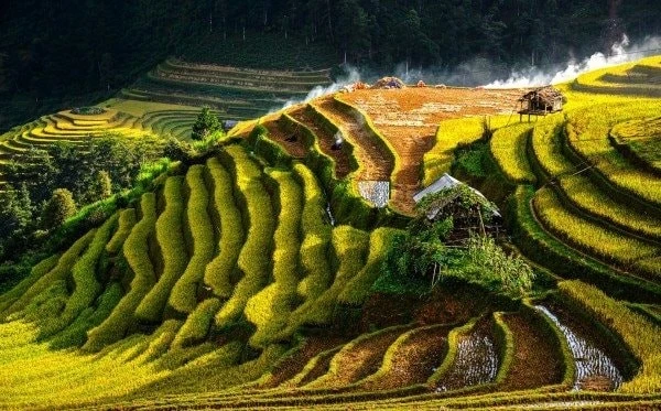 Tác phẩm: Nắng sớm trên nương - Tác giả: Phạm Văn Phương.